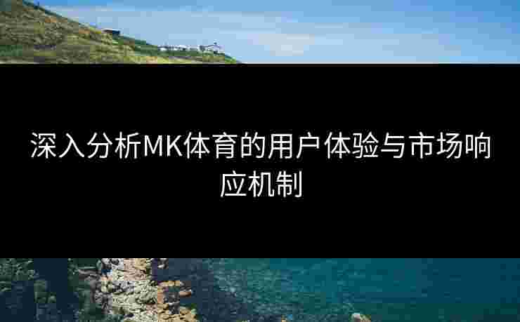 深入分析MK体育的用户体验与市场响应机制